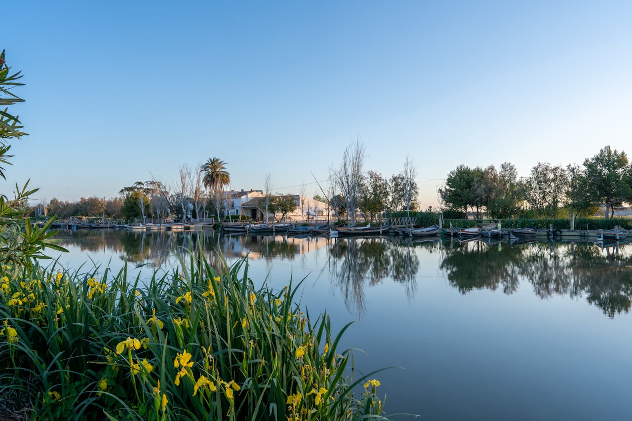 pexels-thales13-22033409 (1)